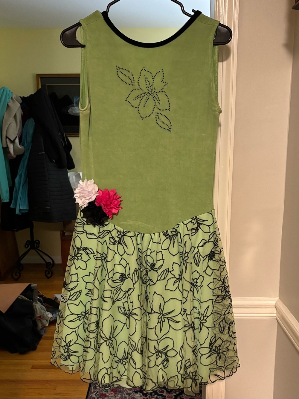 Jerry’s Figure Skating Dress